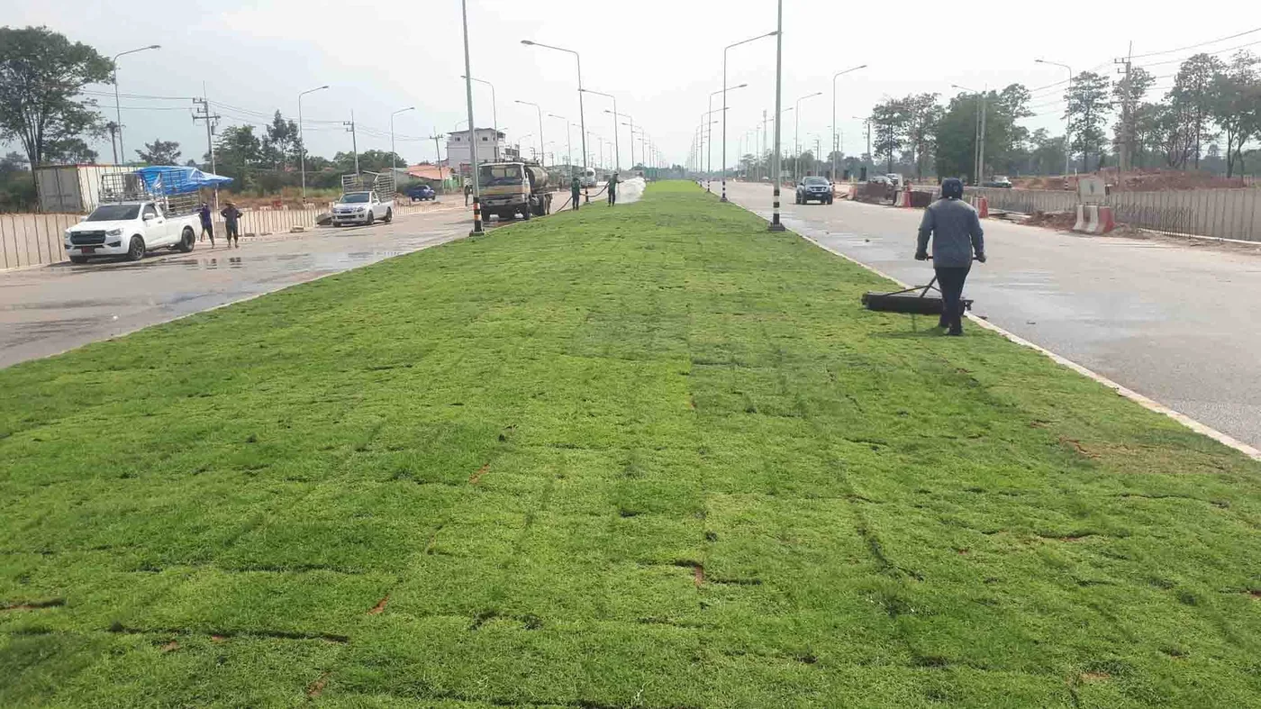รับจัดสวนหิน ไร่หญ้าพรรณทิพย์